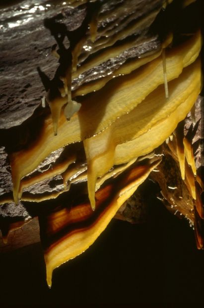 Kartchner Caverns